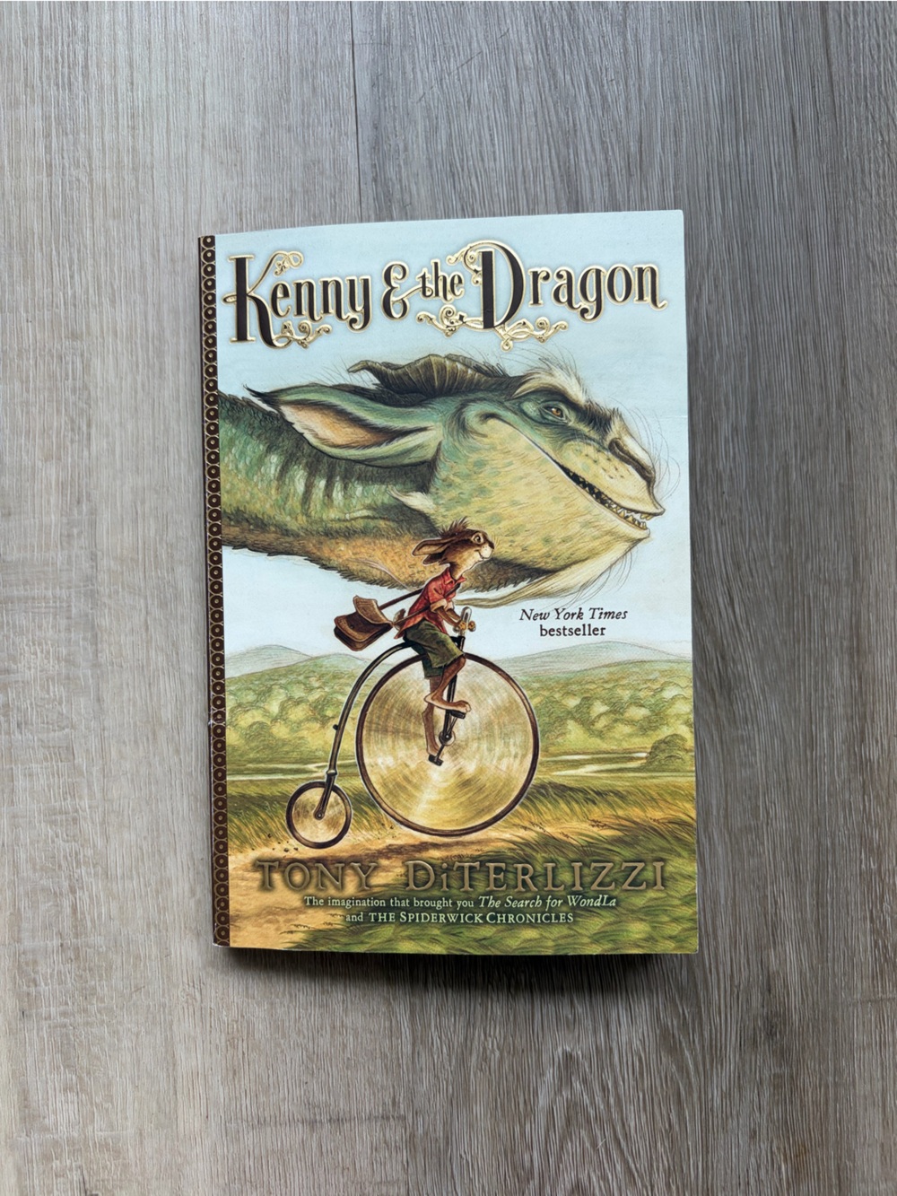 Kenny & the Dragon Paperback Book